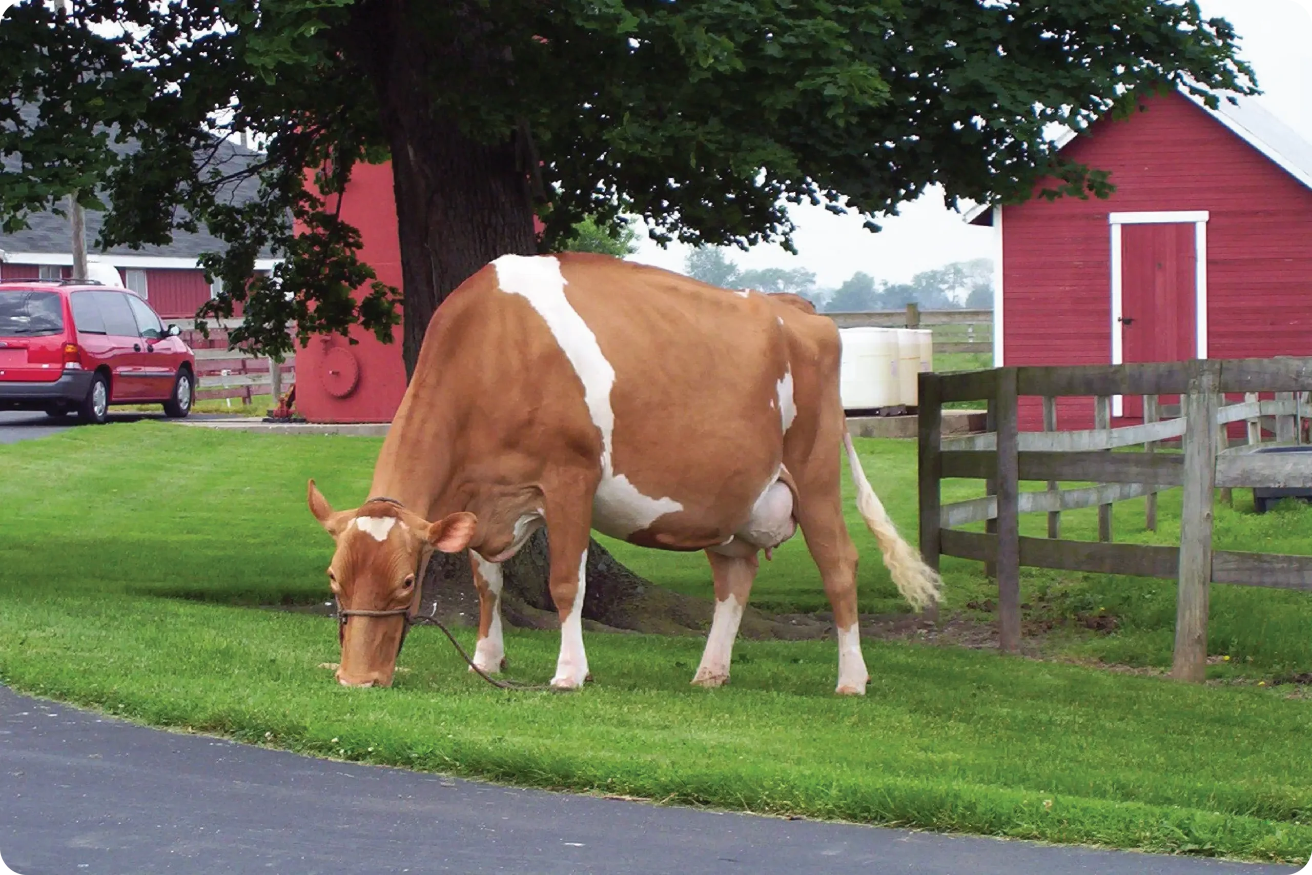 ayars-family-farm-history-10