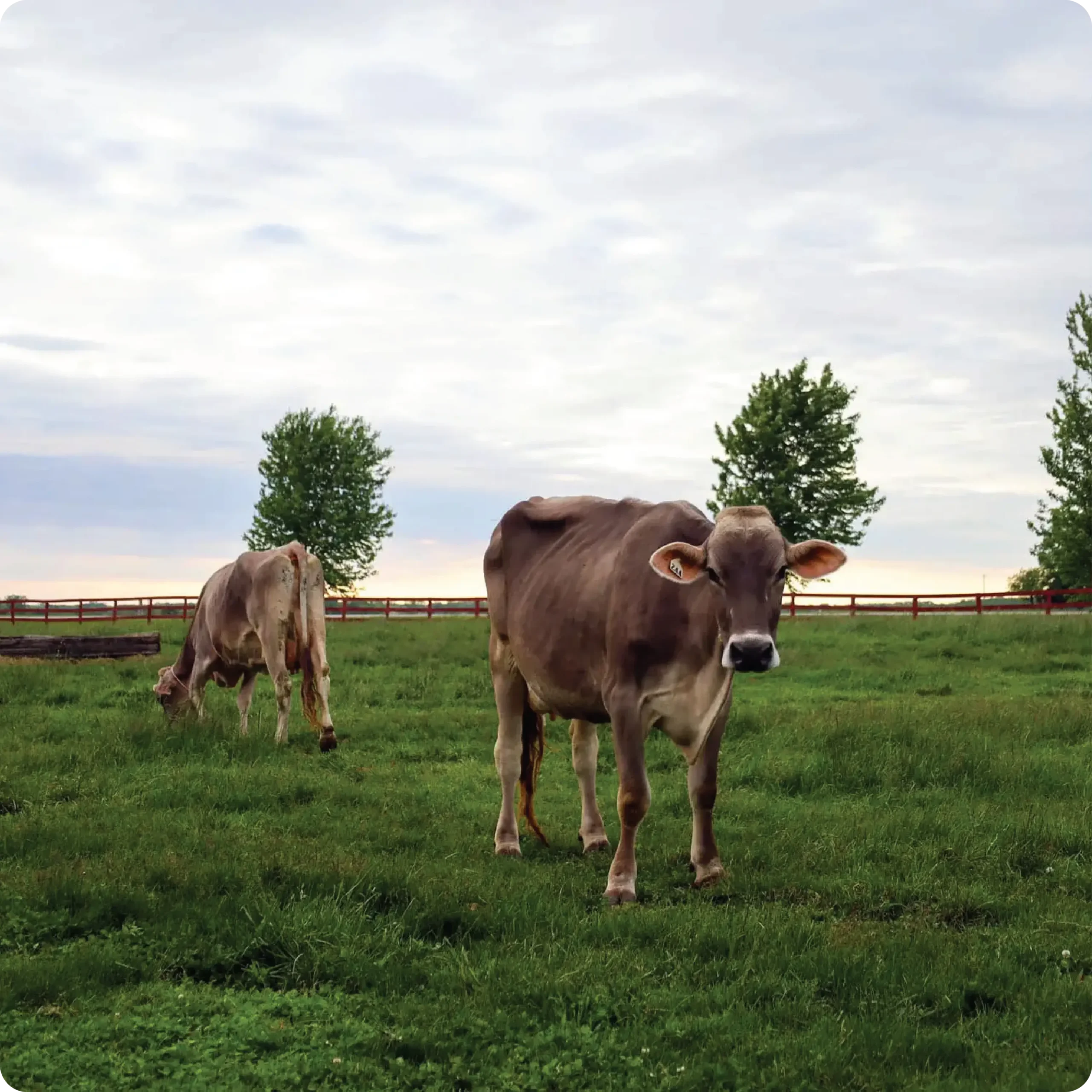 ayars-farm-tours-10