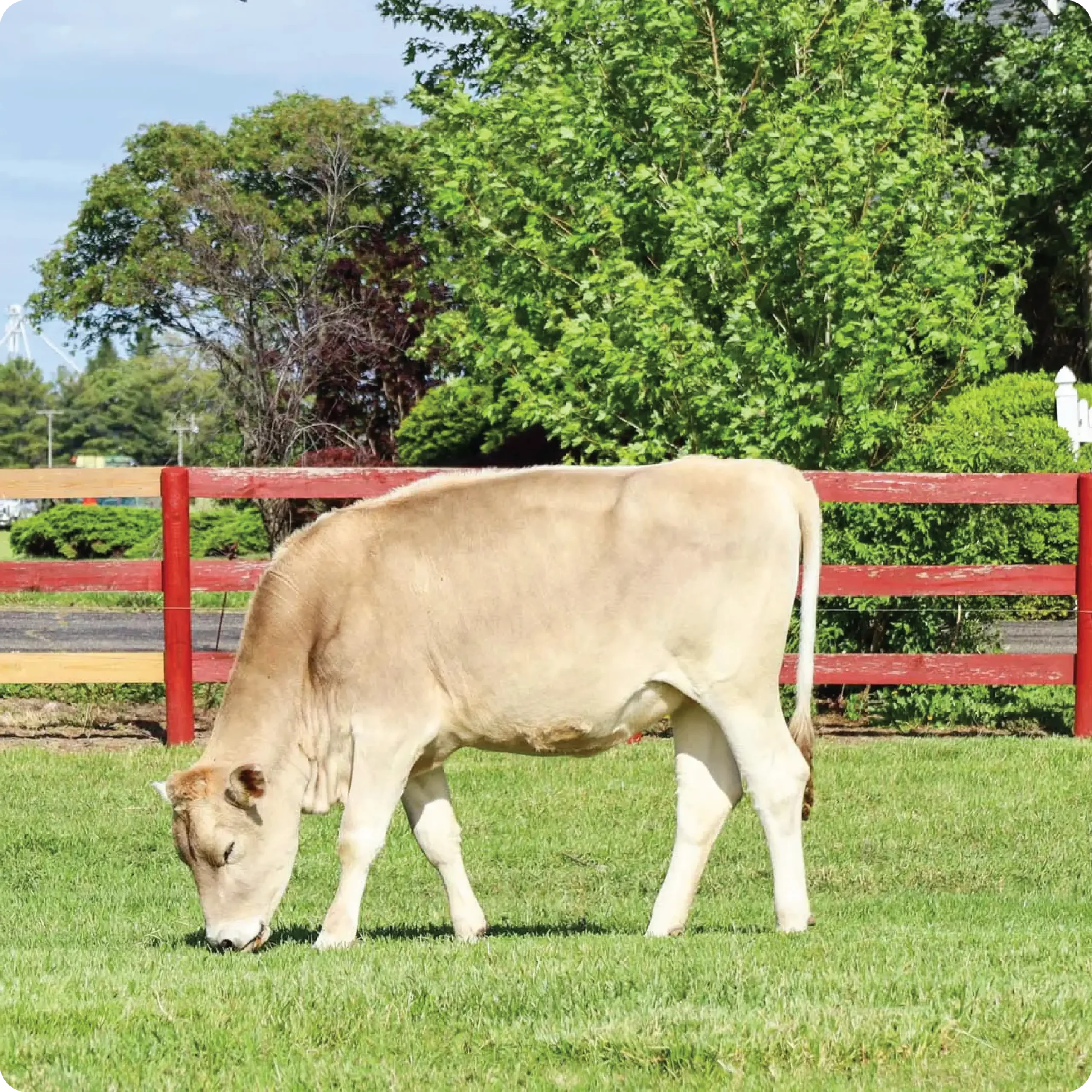 ayars-farm-tours-12