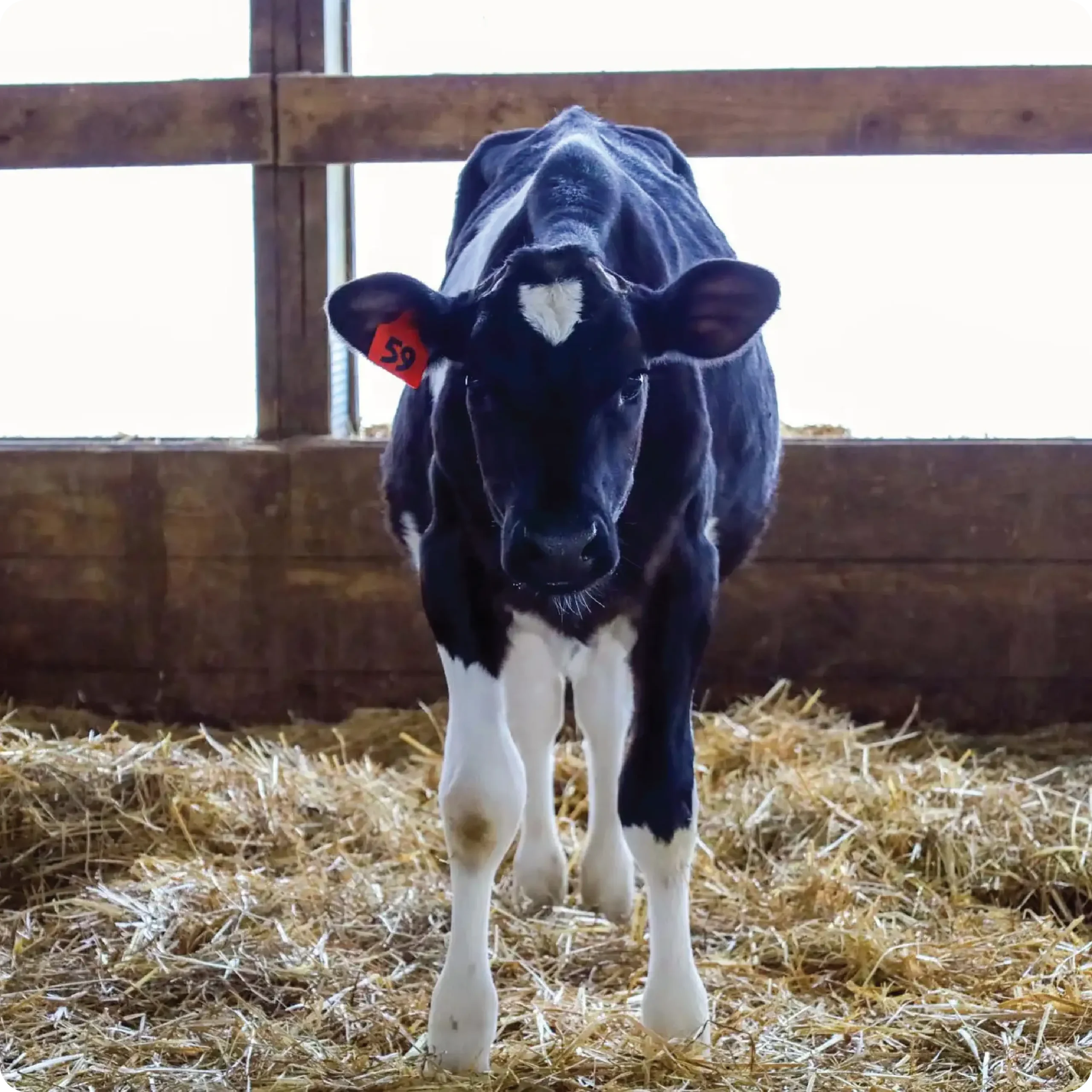 ayars-farm-tours-13