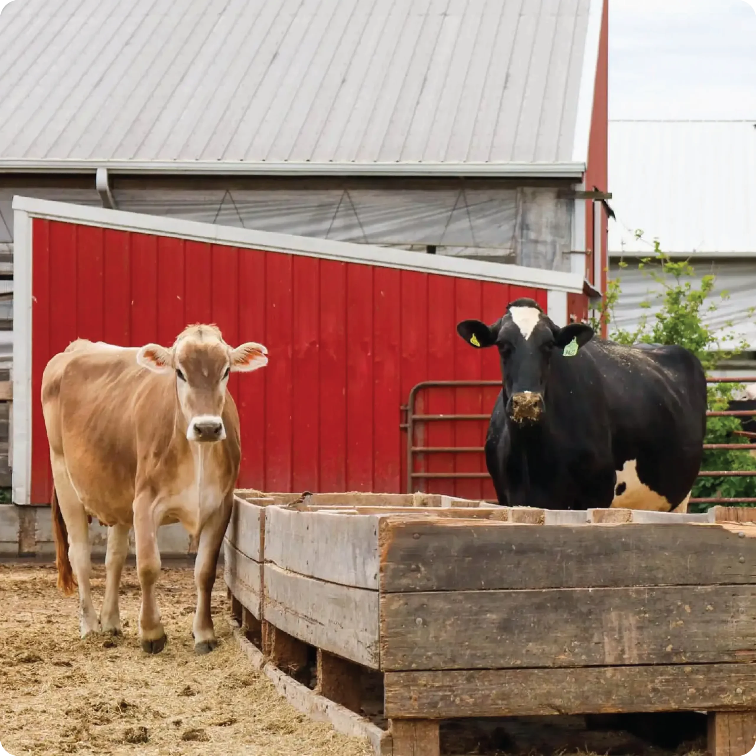 ayars-farm-tours-14