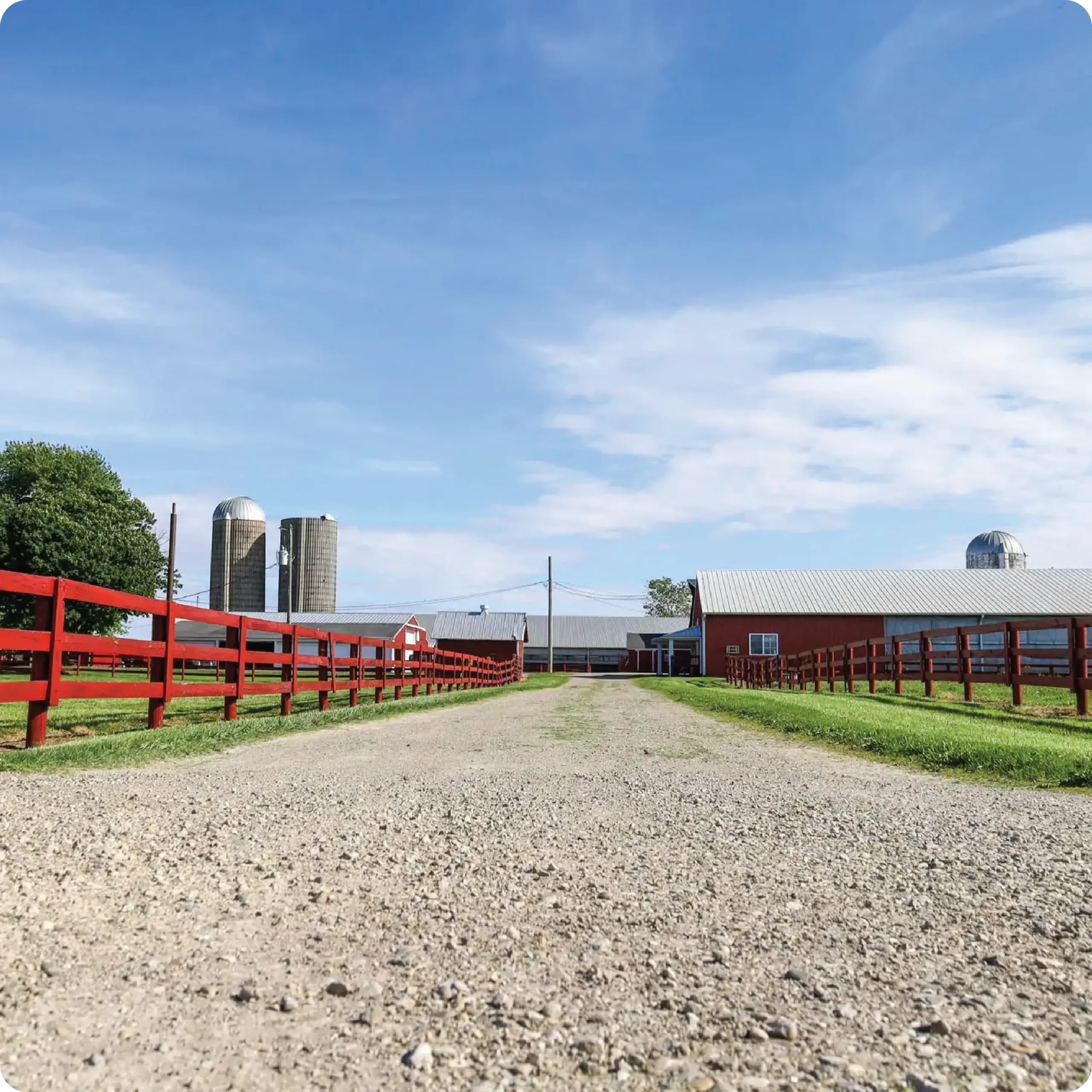 ayars-farm-tours-16
