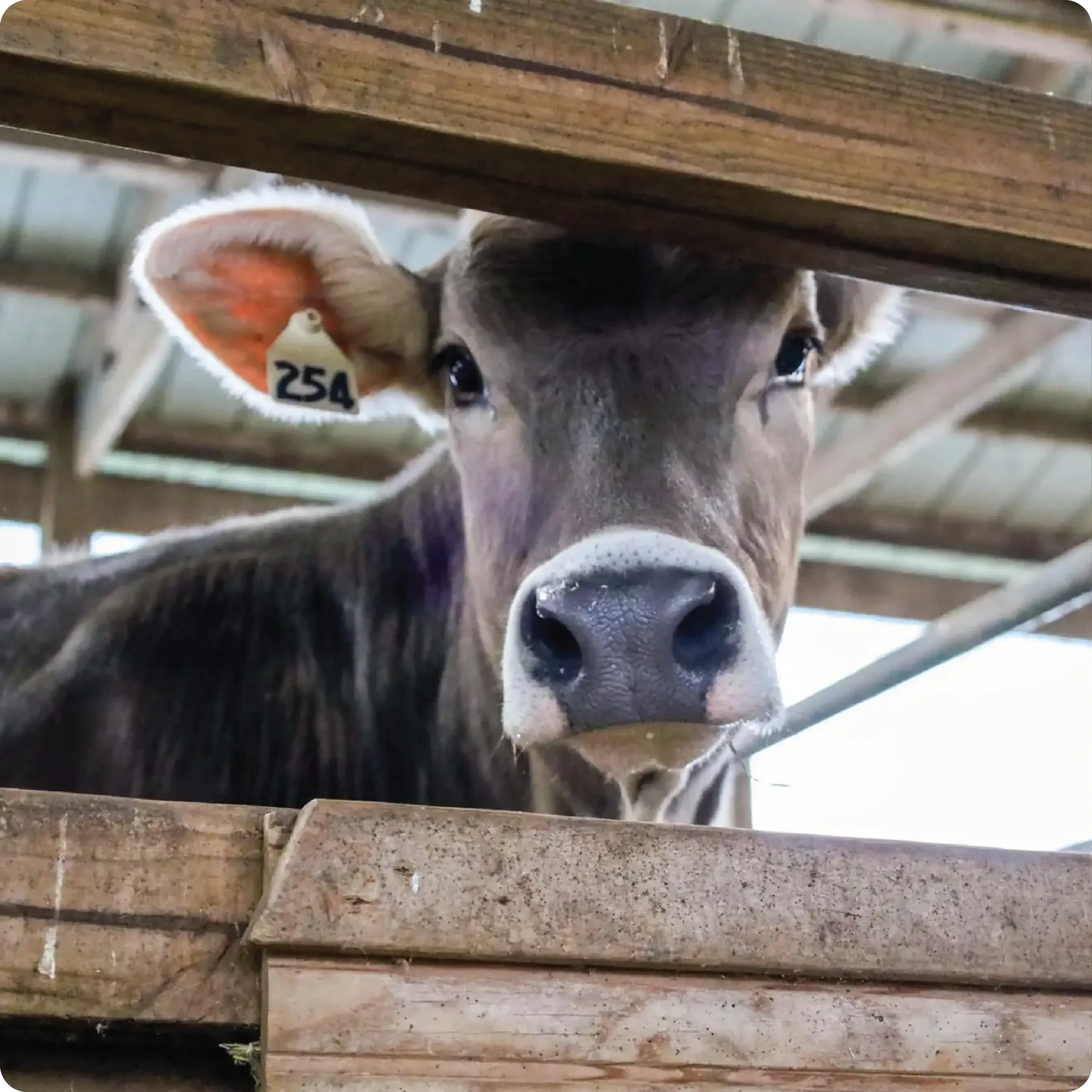 ayars-farm-tours-18