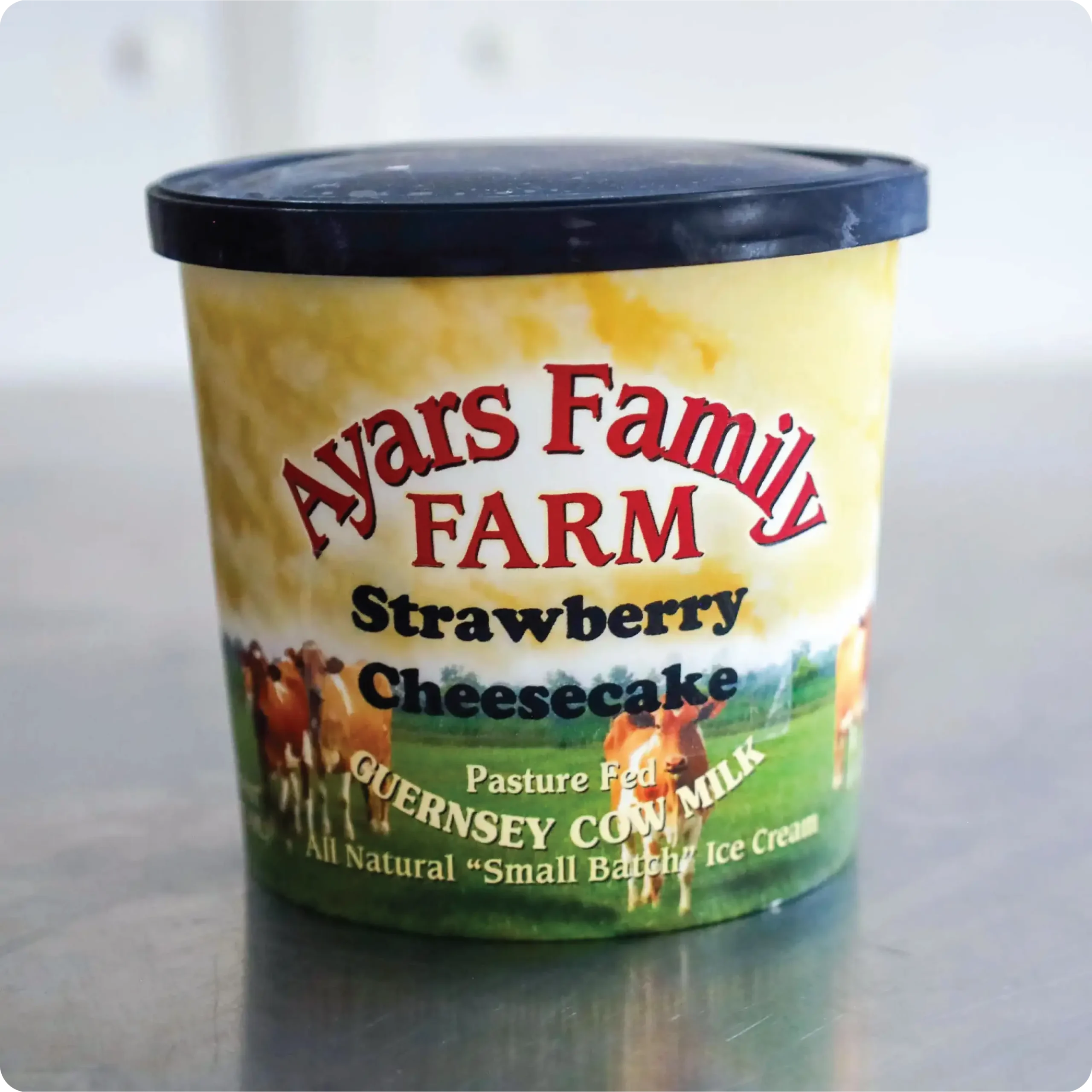 ayars-ice-cream-making-5